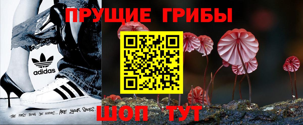 Псилоцибиновые грибы ЛСД  Вход с VPN  Галлюциногенные грибы Psilocybine cubensis  Сатка 